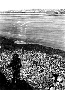 shadown on beach 1991